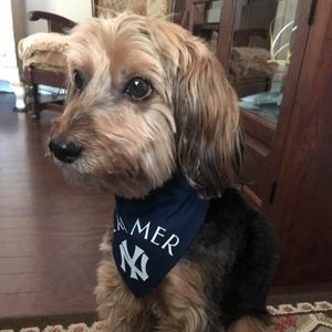 Meet your Posher, Dean